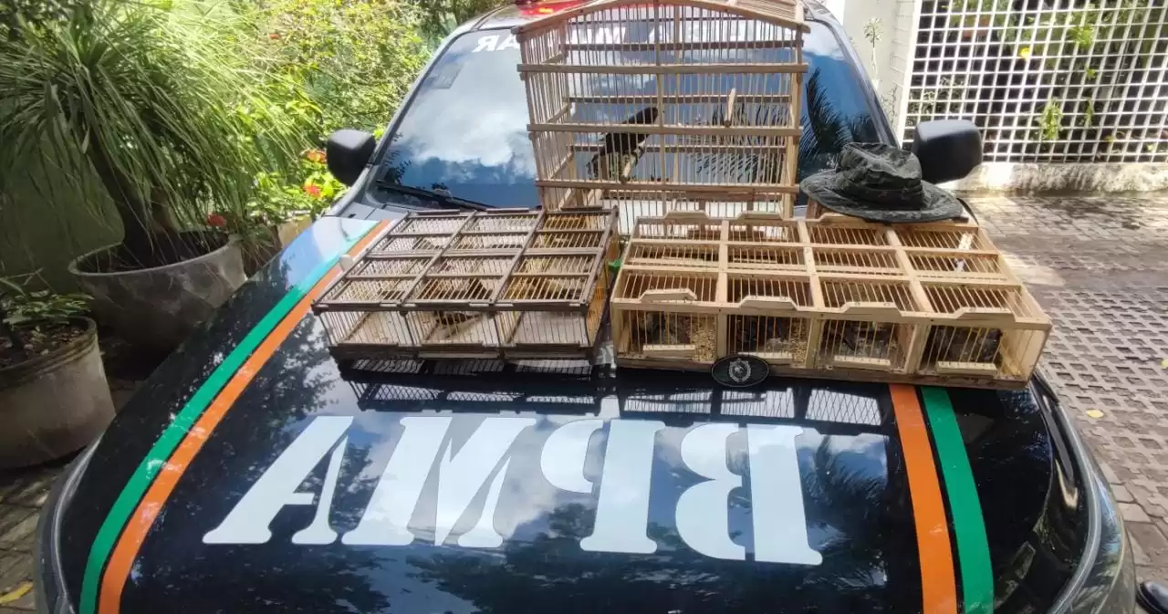 Em Juazeiro Do Norte, homem é preso com 22 pássaros silvestres.