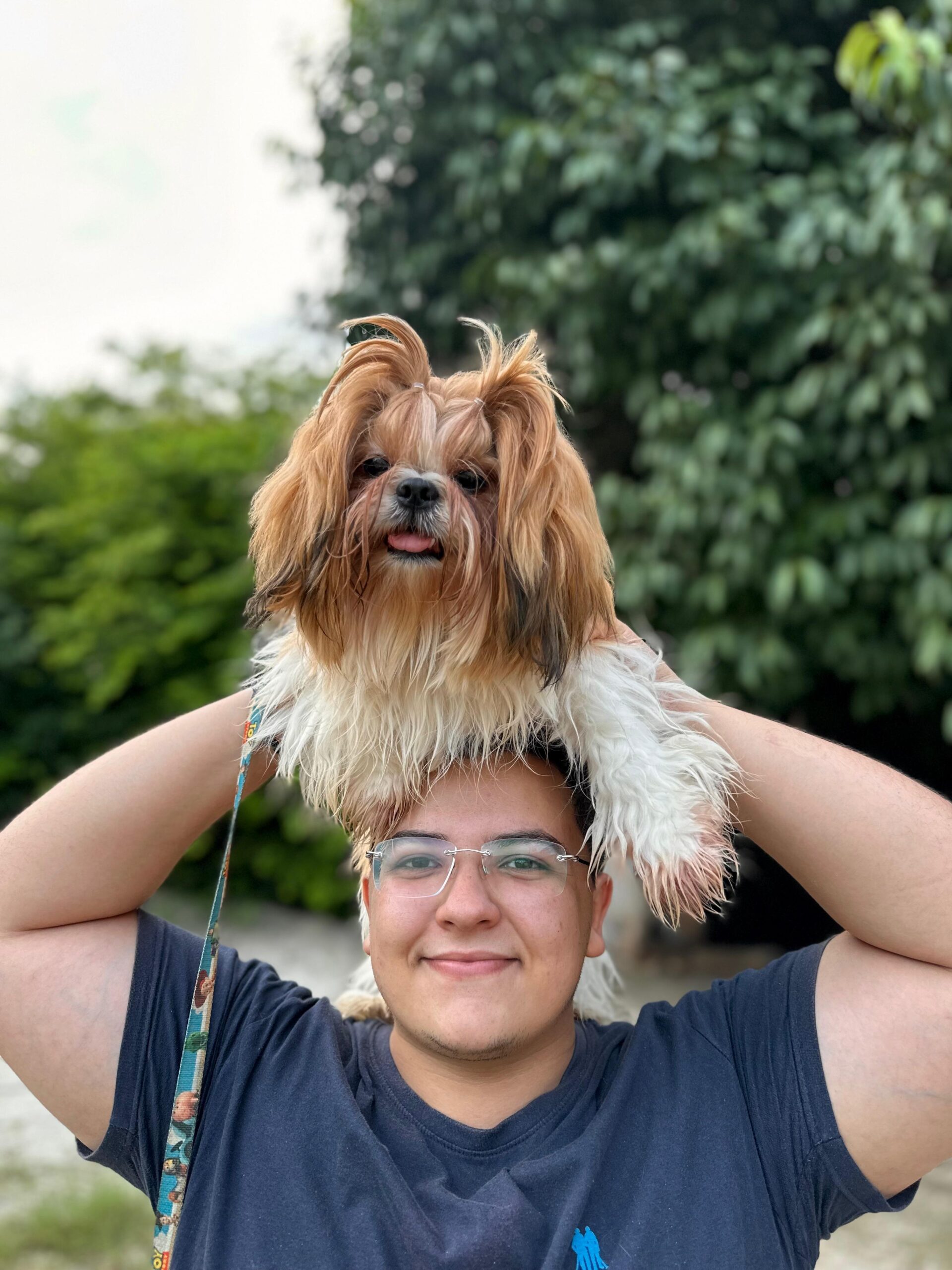 Vereador propõe a criação da coordenadoria de proteção e bem-estar animal de Acarape