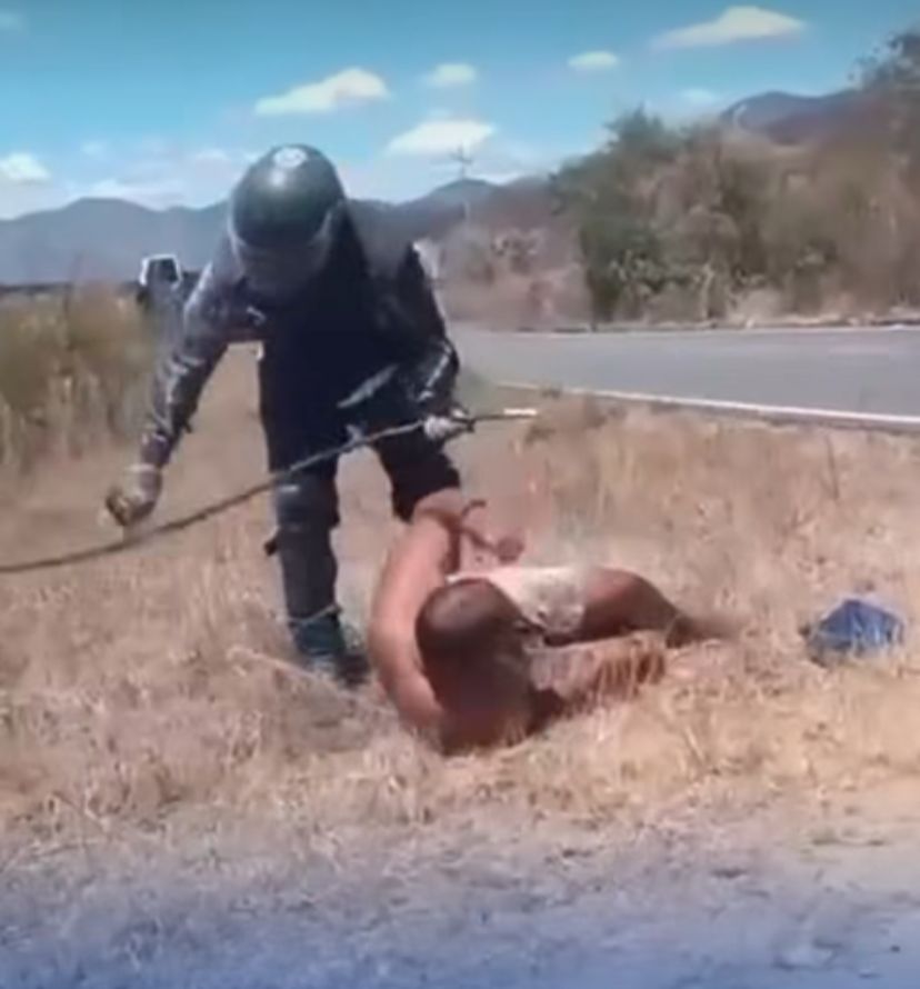 Caminhão carregado de abelhas tomba entre Cruzeta e Salitre