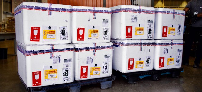 Vacina contra bronquiolite começa a ser distribuída em todo o país