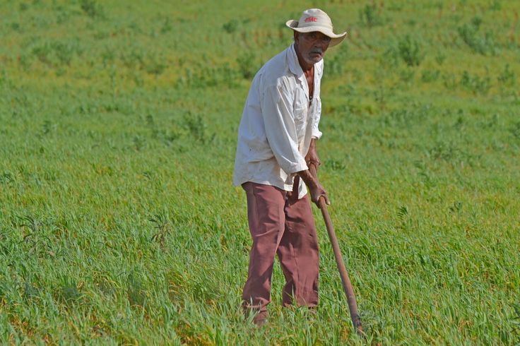 Apoio ao homem do campo! Palmácia inicia distribuição de sementes do Programa hora de plantar